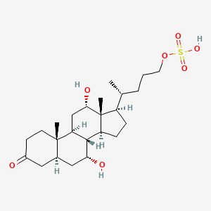 3-Ketopetromyzonol sulfate - 435327-06-3