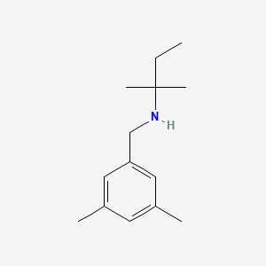 [(3,5-Dimethylphenyl)methyl](2-methylbutan-2-yl)amine - 