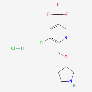 3-Chloro-2-[(pyrrolidin-3-yloxy)methyl]-5-(trifluoromethyl)pyridine hydrochloride - 