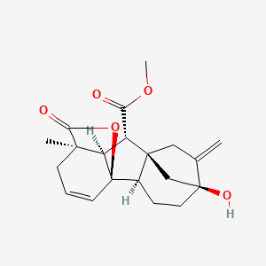 10-O-Methyl Gibberellin A95 - 