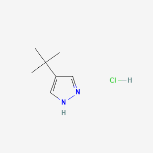 4-tert-butyl-1H-pyrazole hydrochloride - 