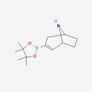 3-(4,4,5,5-Tetramethyl-1,3,2-dioxaborolan-2-yl)-8-azabicyclo[3.2.1]oct-2-ene - 