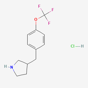 3-{[4-(Trifluoromethoxy)phenyl]methyl}pyrrolidine hydrochloride - 