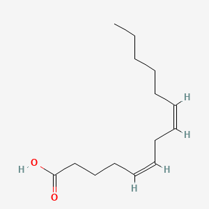 cis,cis-Tetradeca-5,8-dienoic acid - 39039-37-7