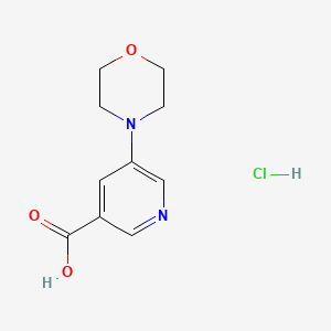 5-(Morpholin-4-yl)pyridine-3-carboxylicacidhydrochloride - 2792186-27-5