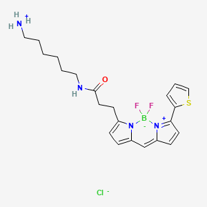 6-[3-(2,2-difluoro-12-thiophen-2-yl-3-aza-1-azonia-2-boranuidatricyclo[7.3.0.03,7]dodeca-1(12),4,6,8,10-pentaen-4-yl)propanoylamino]hexylazanium;chloride - 