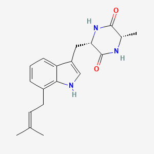 Terezine D - 