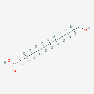 12-Hydroxylauric-d20 Acid - 