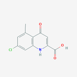 7-chloro-5-methyl-4-oxo-1H-quinoline-2-carboxylic acid - 
