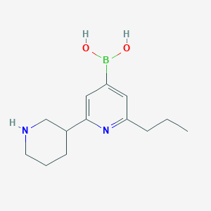 (2-(Piperidin-3-yl)-6-propylpyridin-4-yl)boronic acid - 