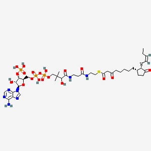 3-Oxo-OPC8-CoA - 