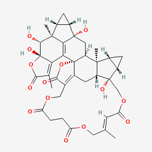 chloramultilide B - 