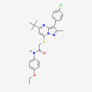 2-{[5-tert-butyl-3-(4-chlorophenyl)-2-methylpyrazolo[1,5-a]pyrimidin-7-yl]sulfanyl}-N-(4-ethoxyphenyl)acetamide - 