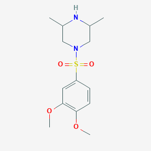 1-(3,4-Dimethoxy-benzenesulfonyl)-3,5-dimethyl-piperazine - 