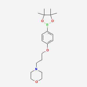 4-(3-(4-(4,4,5,5-Tetramethyl-1,3,2-dioxaborolan-2-yl)phenoxy)propyl)morpholine - 910462-33-8