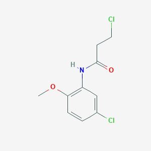 3-chloro-N-(5-chloro-2-methoxyphenyl)propanamide - 346726-62-3
