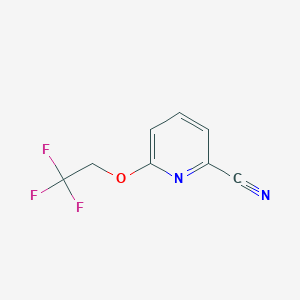 6-(2,2,2-Trifluoroethoxy)pyridine-2-carbonitrile - 1256786-21-6