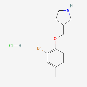 3-[(2-Bromo-4-methylphenoxy)methyl]pyrrolidine hydrochloride - 1219980-99-0