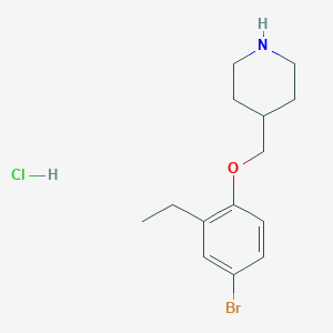 4-[(4-Bromo-2-ethylphenoxy)methyl]piperidine hydrochloride - 1219967-59-5