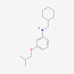 N-(Cyclohexylmethyl)-3-isobutoxyaniline - 1040680-97-4