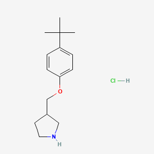 4-(tert-Butyl)phenyl 3-pyrrolidinylmethyl ether hydrochloride - 1185298-56-9