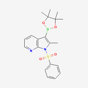 2-Methyl-1-(phenylsulfonyl)-3-(4,4,5,5-tetramethyl-1,3,2-dioxaborolan-2-YL)-1H-pyrrolo[2,3-B]pyridine - 943324-08-1