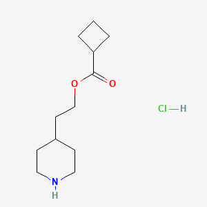 2-(4-Piperidinyl)ethyl cyclobutanecarboxylate hydrochloride - 1219960-63-0