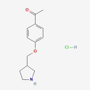 1-[4-(3-Pyrrolidinylmethoxy)phenyl]-1-ethanone hydrochloride - 1220029-91-3