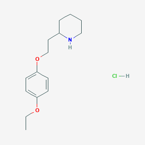 2-[2-(4-Ethoxyphenoxy)ethyl]piperidine hydrochloride - 1220016-38-5