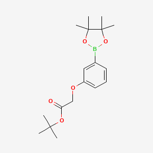 [3-(4,4,5,5-Tetramethyl-[1,3,2]dioxaborolan-2-yl)-phenoxy]-acetic acid tert-butyl ester - 769968-18-5