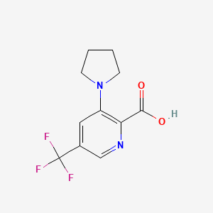 3-Pyrrolidin-1-yl-5-(trifluoromethyl)-pyridine-2-carboxylic acid - 1992985-82-6