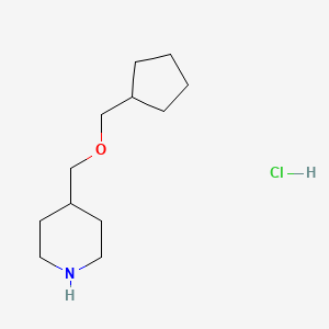 4-[(Cyclopentylmethoxy)methyl]piperidine hydrochloride - 1185299-09-5