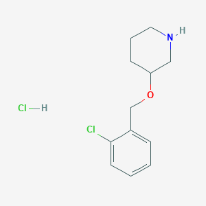 3-[(2-Chlorobenzyl)oxy]piperidine hydrochloride - 1220017-44-6