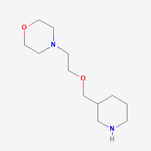 4-[2-(3-Piperidinylmethoxy)ethyl]morpholine - 946713-06-0
