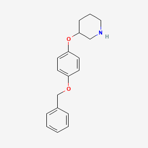 3-[4-(Benzyloxy)phenoxy]piperidine - 946759-24-6