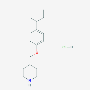 4-{[4-(sec-Butyl)phenoxy]methyl}piperidine hydrochloride - 1185301-09-0
