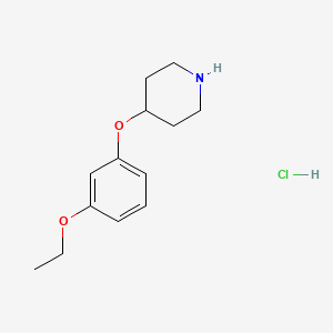 4-(3-Ethoxyphenoxy)piperidine hydrochloride - 1185298-97-8