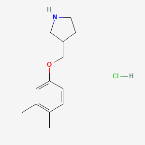 3-[(3,4-Dimethylphenoxy)methyl]pyrrolidine hydrochloride - 1219980-95-6