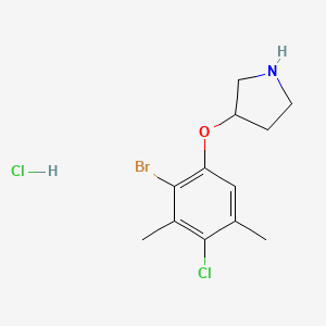 3-(2-Bromo-4-chloro-3,5-dimethylphenoxy)-pyrrolidine hydrochloride - 1220018-00-7