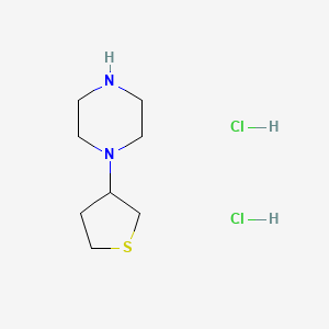1-(Thiolan-3-yl)piperazine dihydrochloride - 1376228-74-8