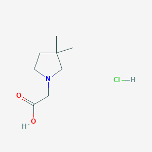 2-(3,3-Dimethylpyrrolidin-1-yl)acetic acid hydrochloride - 1803584-82-8