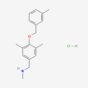 ({3,5-Dimethyl-4-[(3-methylphenyl)methoxy]phenyl}methyl)(methyl)amine hydrochloride - 1311316-37-6