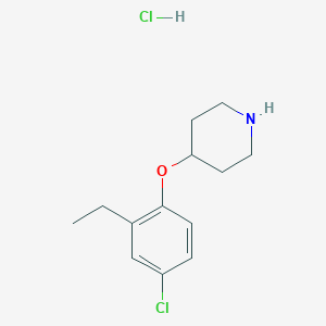 4-(4-Chloro-2-ethylphenoxy)piperidine hydrochloride - 1220030-97-6