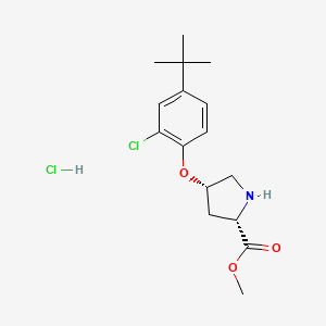 Methyl (2S,4S)-4-[4-(tert-butyl)-2-chlorophenoxy]-2-pyrrolidinecarboxylate hydrochloride - 1354487-93-6