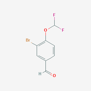 3-Bromo-4-(difluoromethoxy)benzaldehyde - 1155878-02-6