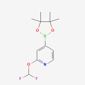 2-(Difluoromethoxy)-4-(4,4,5,5-tetramethyl-1,3,2-dioxaborolan-2-yl)pyridine - 1628116-87-9