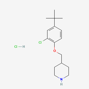 4-{[4-(Tert-butyl)-2-chlorophenoxy]-methyl}piperidine hydrochloride - 1219972-13-0