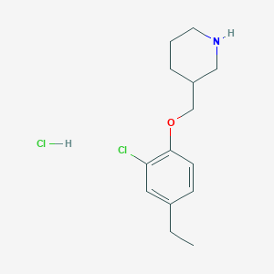3-[(2-Chloro-4-ethylphenoxy)methyl]piperidine hydrochloride - 1220035-75-5