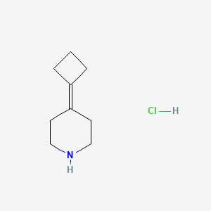 4-Cyclobutylidenepiperidine hydrochloride - 1809353-44-3