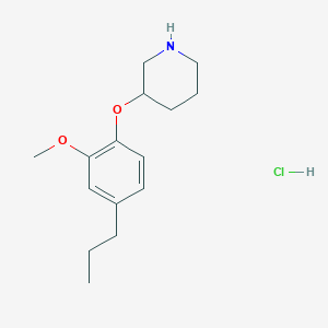 2-Methoxy-4-propylphenyl 3-piperidinyl ether hydrochloride - 1220019-58-8